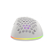 Mysz dla graczy Genesis Krypton 555 8000DPI podświetlenie RGB Biała